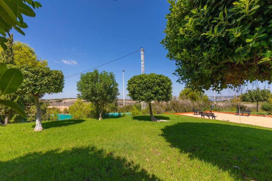 Sale - Bungalow Ground Floor - Torre la mata - Torrevieja