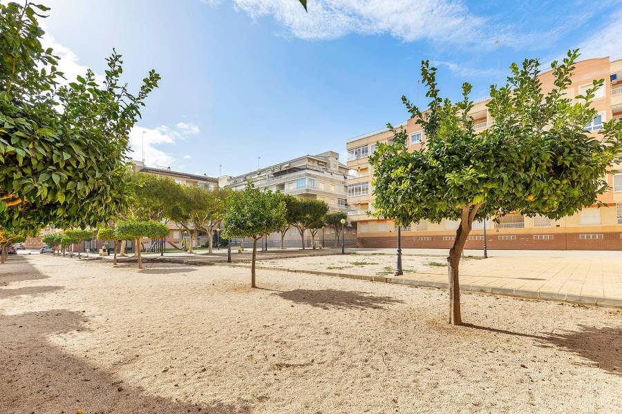 Sale - Apartment - Los secanos - Guardamar del Segura