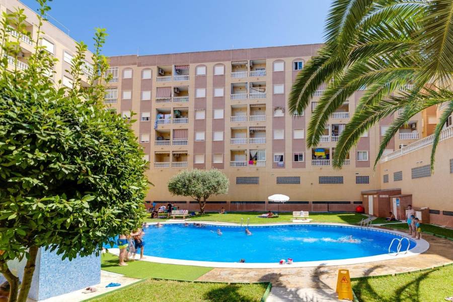 Sale - Apartment - Centro - Torrevieja