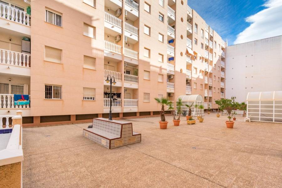 Sale - Apartment - Estacion de autobuses - Torrevieja