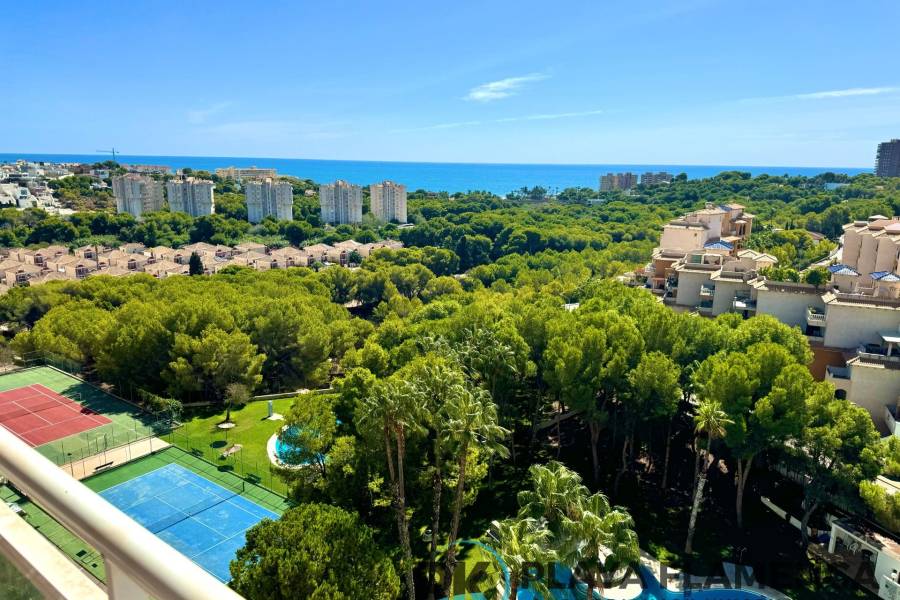 Sale - Apartment - Campoamor - Orihuela Costa