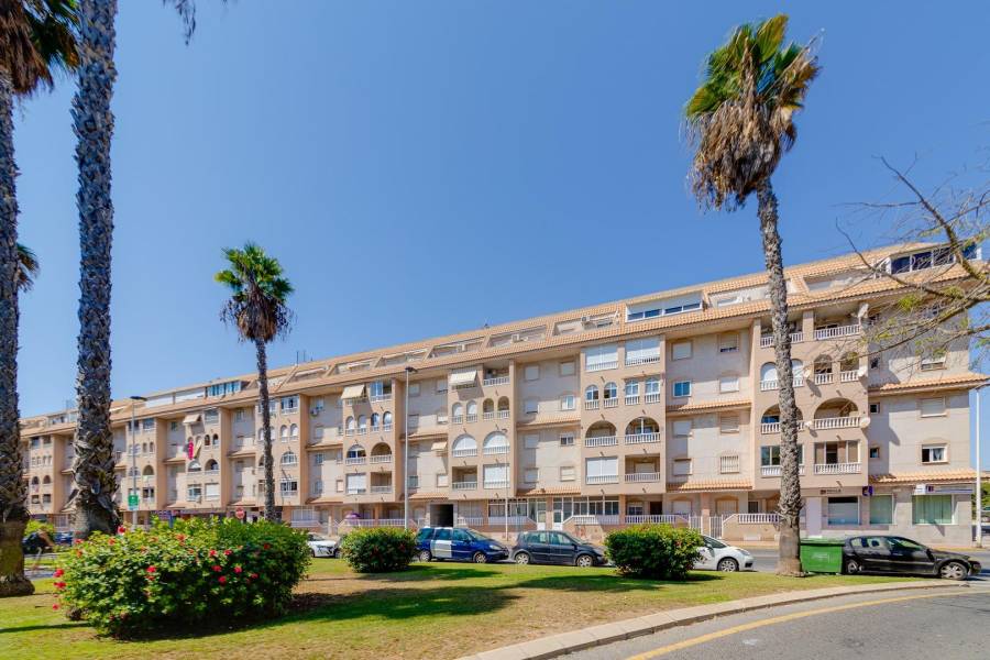 Vente - Penthouse - Centro - Torrevieja