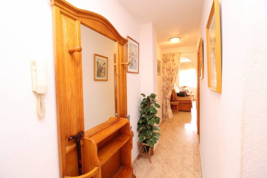 Sale - Apartment - Centro - Torrevieja