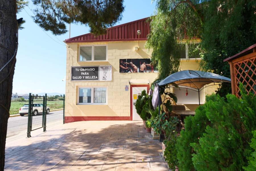 Vente - Local commercial - Almoradí - Almoradi