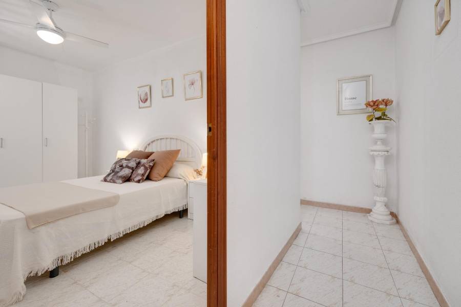 Vente - Appartement - Estacion de autobuses - Torrevieja