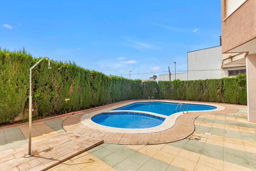 Venta - Piso - Nueva Torrevieja - Torrevieja