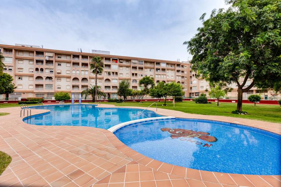 Vente - Penthouse - Centro - Torrevieja