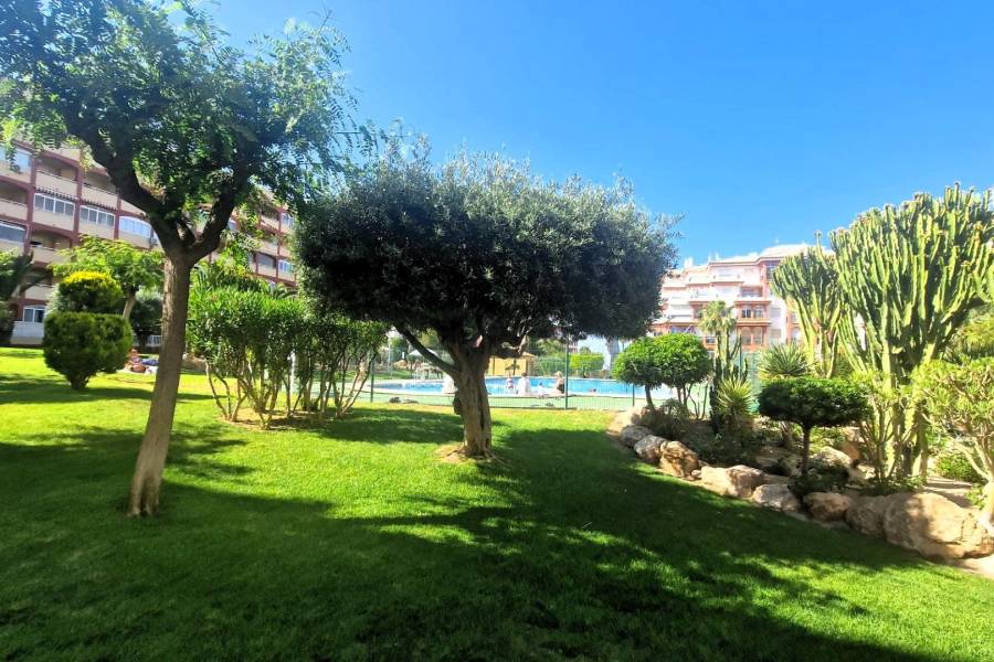 Vente - Rez-de-chaussée - Torreblanca - Torrevieja