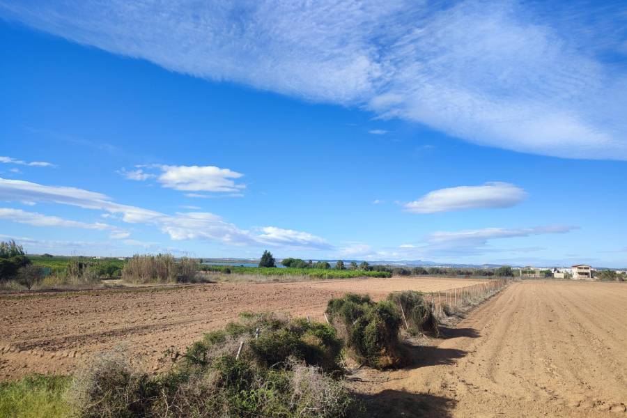 Vente - Maison - El moncayo - Guardamar del Segura