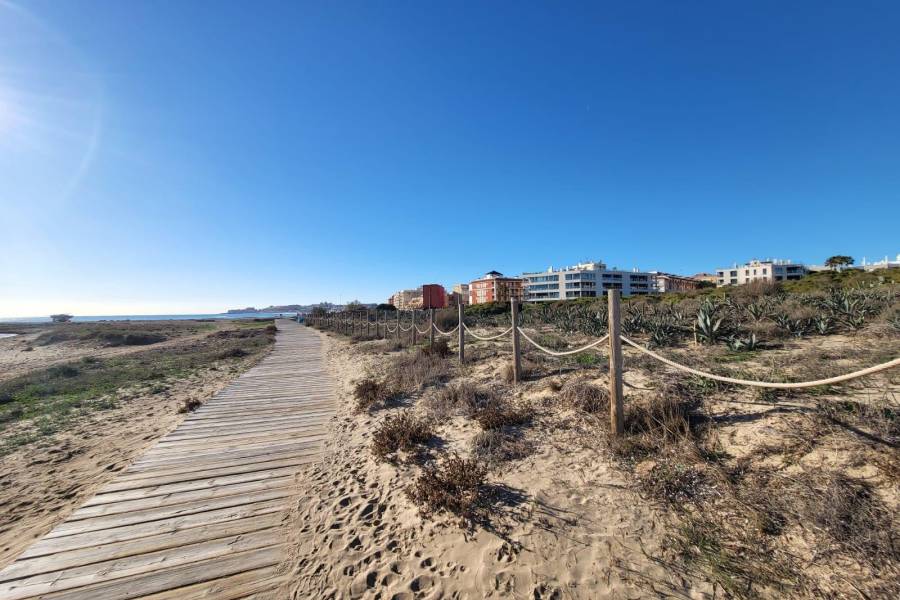 Sale - Studio - La Mata pueblo - Torrevieja