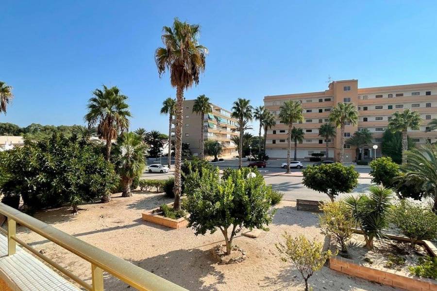 Vente - Appartement - Pinomar - Guardamar del Segura