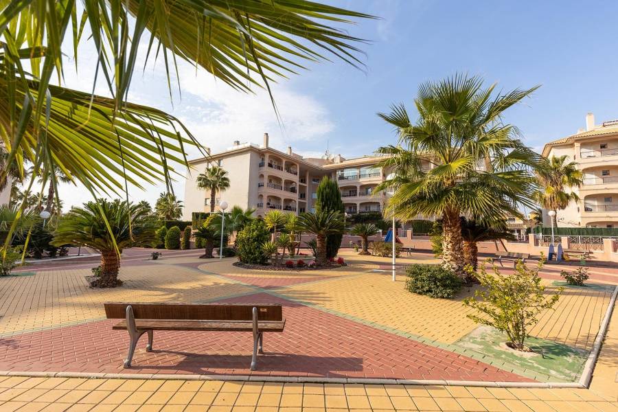 Sale - Penthouse - Playa Flamenca - Orihuela Costa