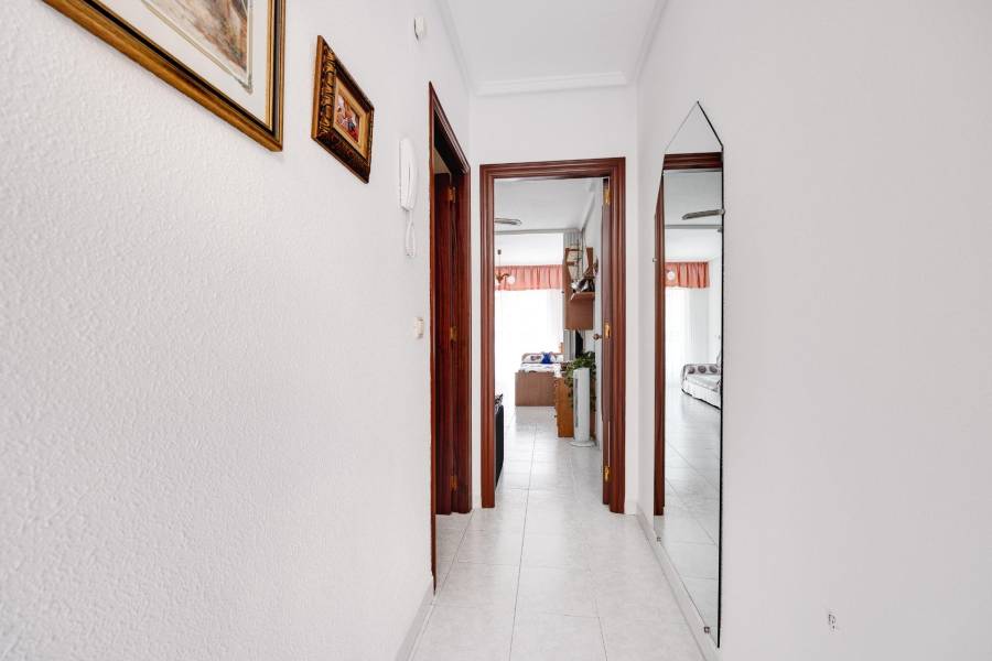 Vente - Appartement - Centro - Torrevieja