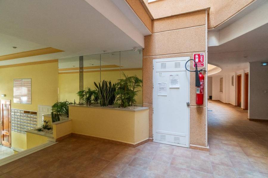 Vente - Appartement - Estacion de autobuses - Torrevieja