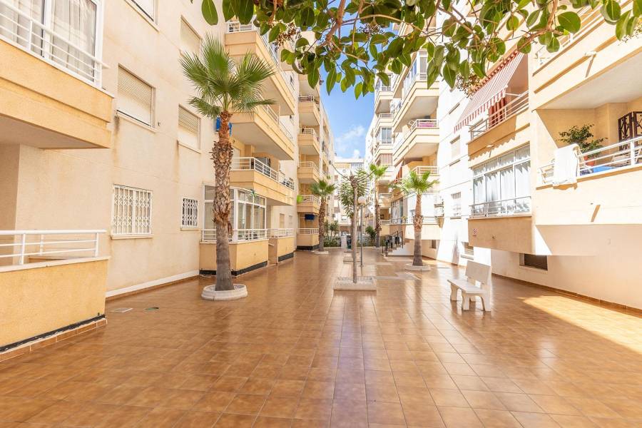 Sale - Apartment - Estacion de autobuses - Torrevieja