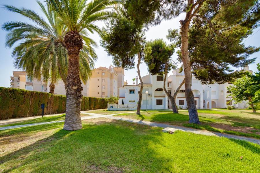 Vente - Maison de campagne - Calas blanca - Torrevieja