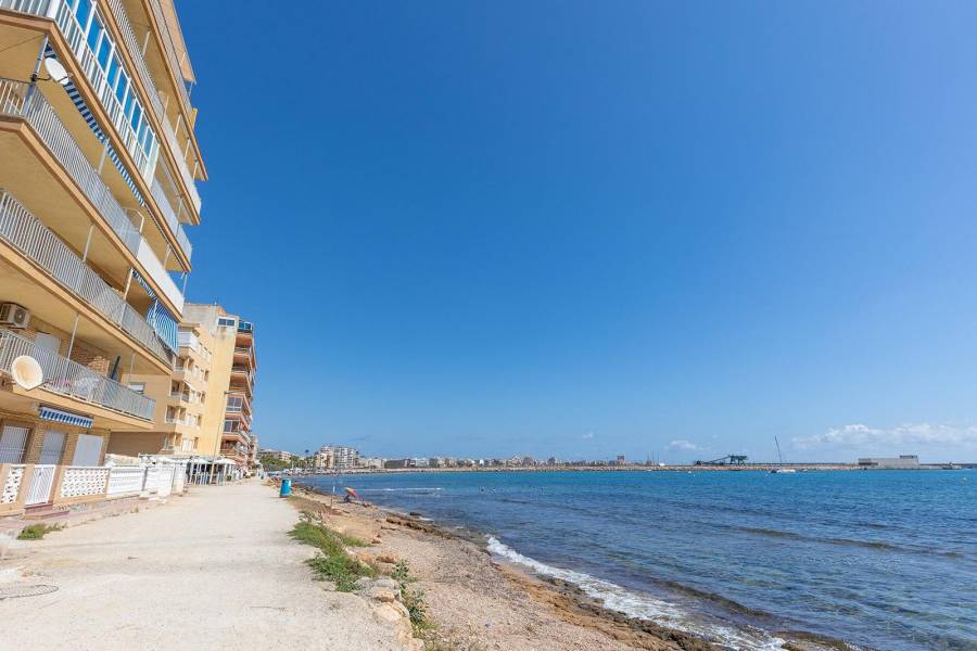 Vente - Appartement de ville - Playa de los Naufragos - Torrevieja