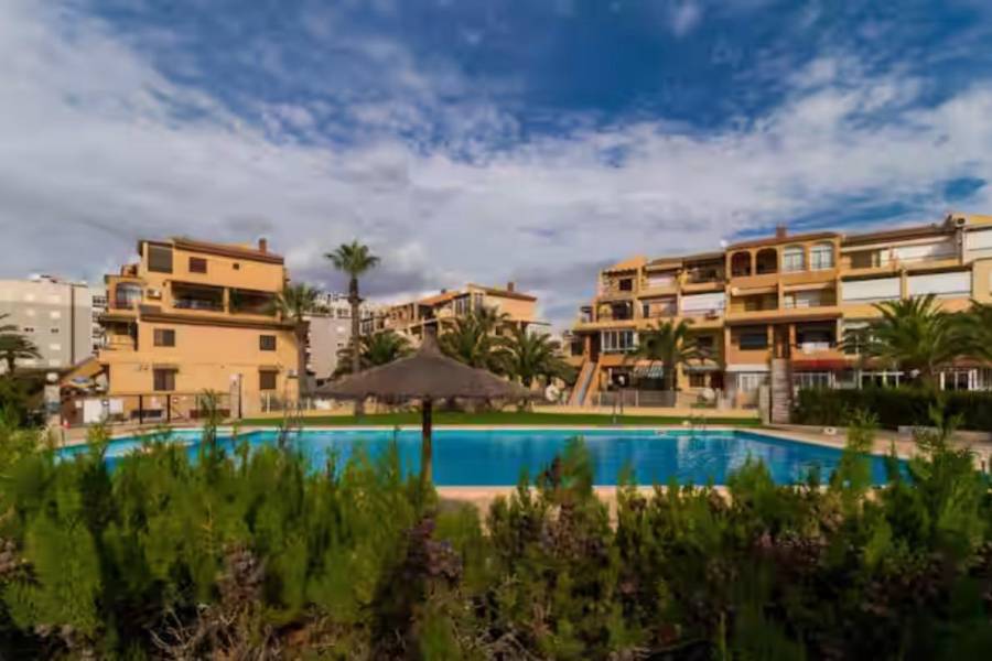 Venta - Estudio - Torreblanca - Torrevieja