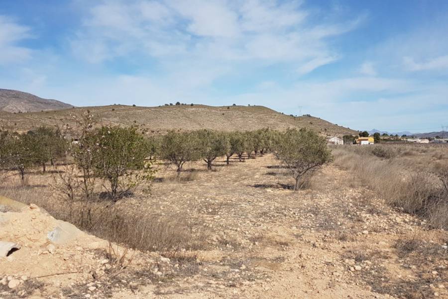 Venta - Casa de campo - EL REBALSO - Hondon de las Nieves