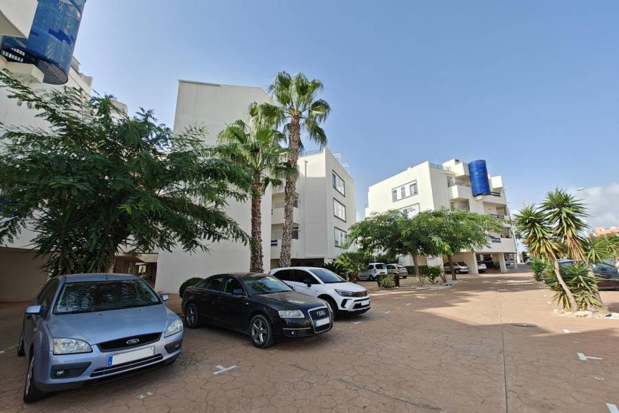 Vente - Appartement - Playa Flamenca - Orihuela Costa