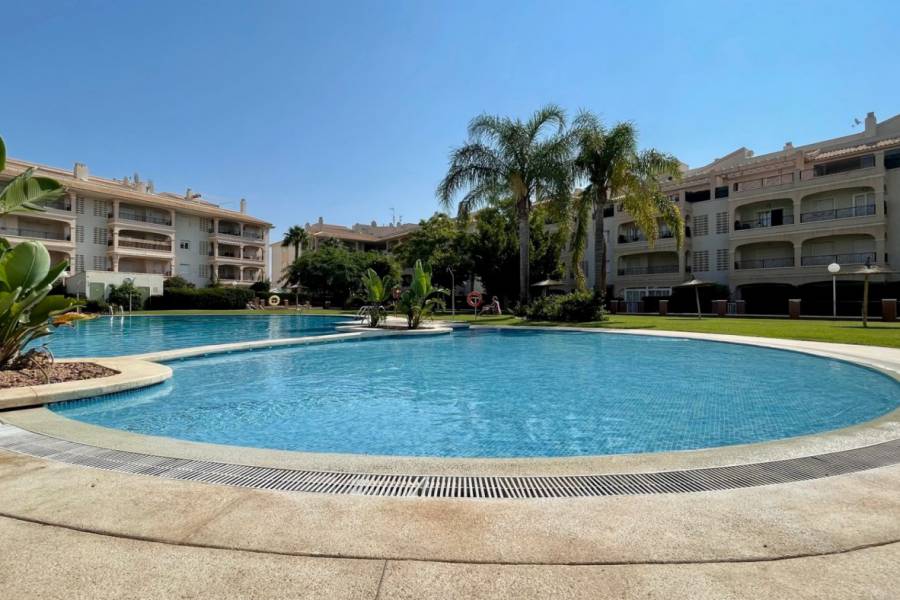 Alquiler - Apartamento - Playa Flamenca Norte - Orihuela Costa