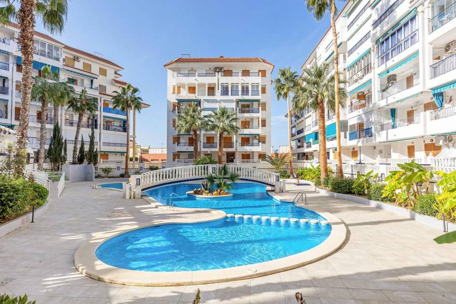 Vente - Penthouse - Los Europeos - Torrevieja