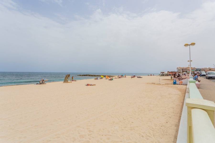 Vente - Appartement - Estacion de autobuses - Torrevieja