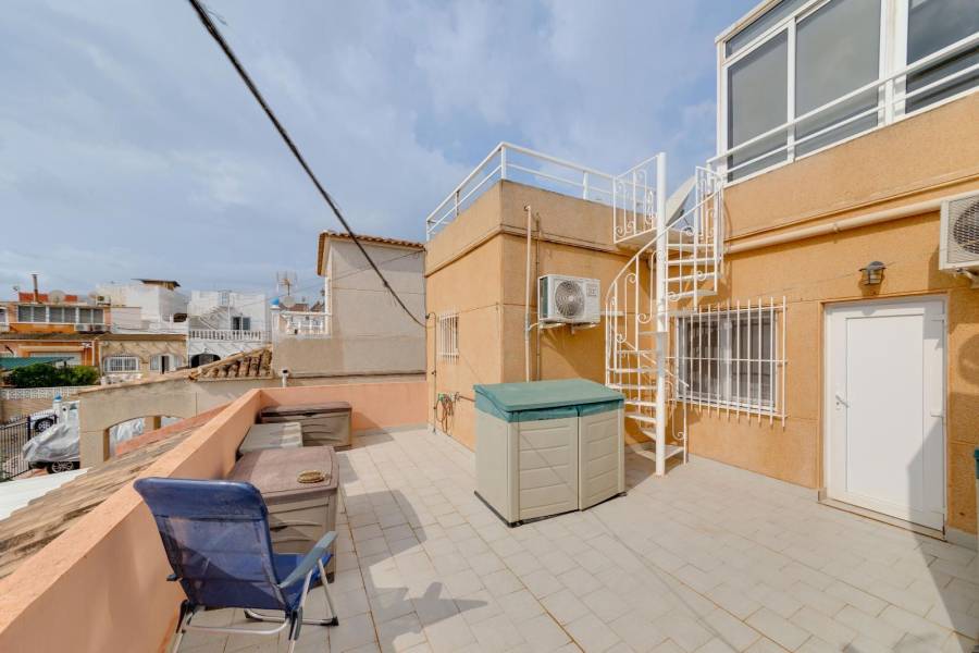 Sale - Single family house - Pueblo - San Miguel de Salinas