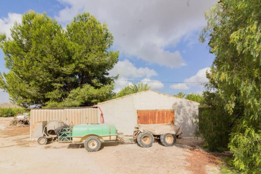 Vente - Maison - La Matanza - Orihuela