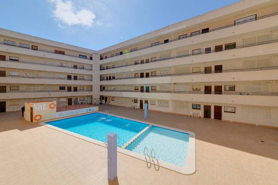 Apartamento - Venta - Estacion de autobuses - Torrevieja