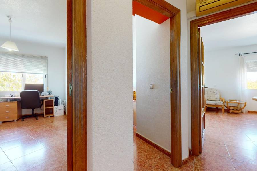 Vente - Appartement de ville - PILAR DE LA HORADADA - Pilar de la Horadada