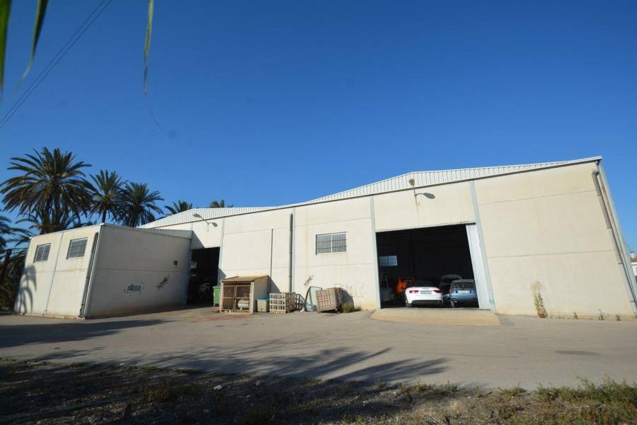 Sale - Industrial Unit - Correntías Bajas - Orihuela