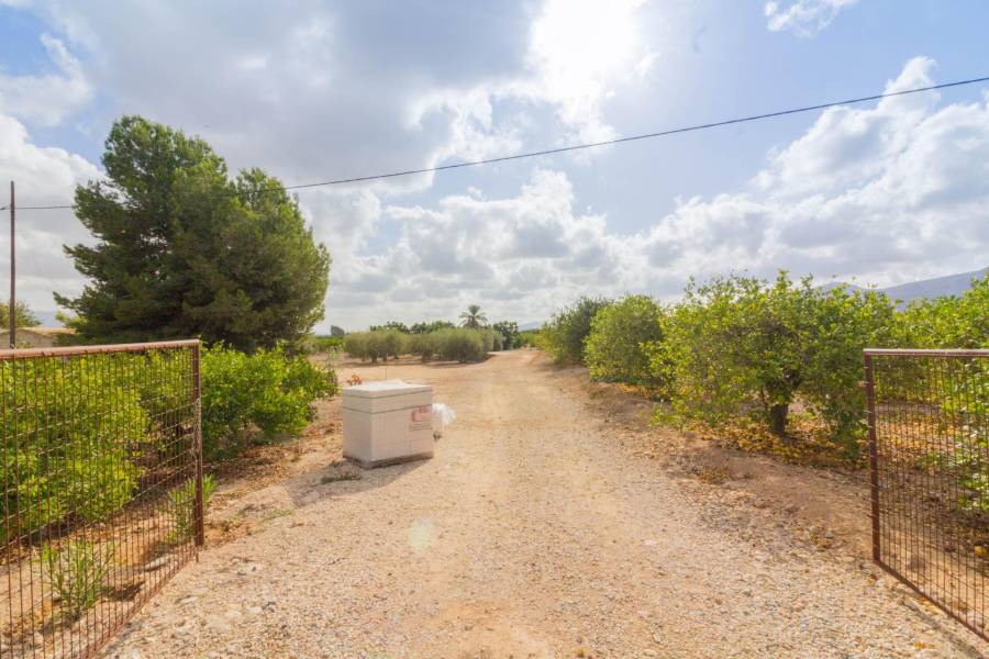 Vente - Maison - La Matanza - Orihuela