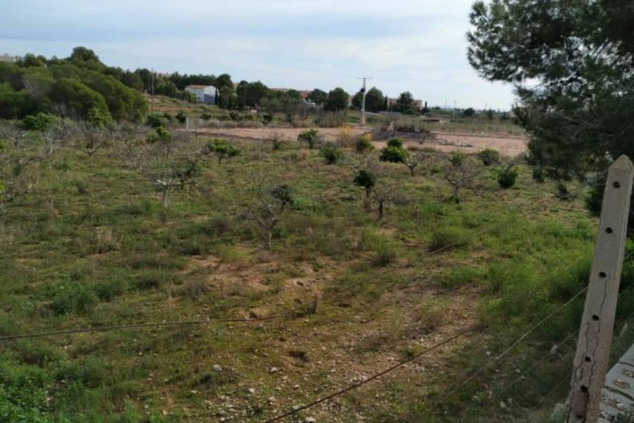 Sale - Rustic property - Balsicas - Murcia