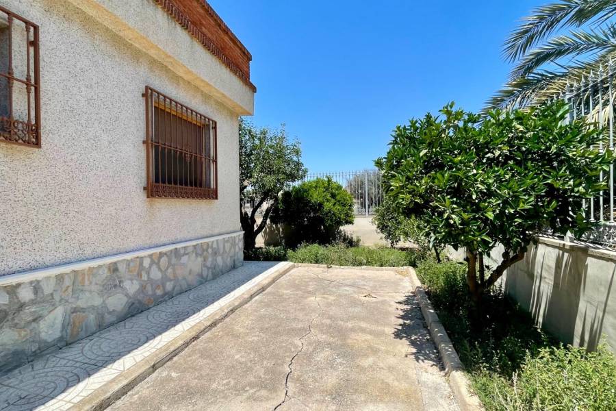 Rental - House with land - La cruz - Redovan