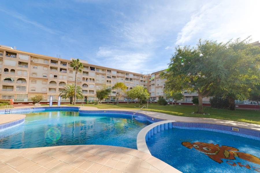 Vente - Penthouse - Centro - Torrevieja