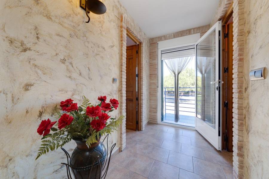 Vente - Maison individuelle - Correntías Bajas - Orihuela