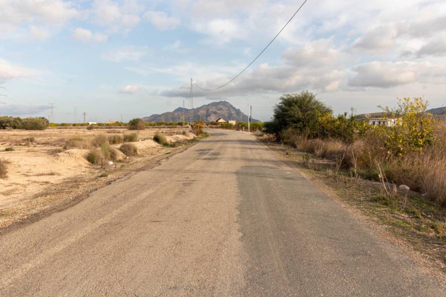 Vente - Terrain rural - Campo - Benferri