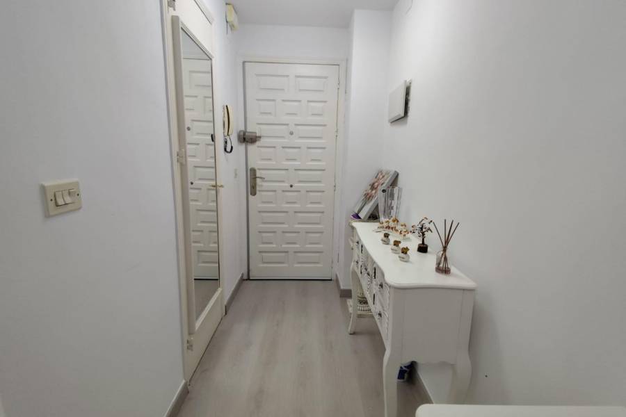 Sale - Studio - Centro - Torrevieja