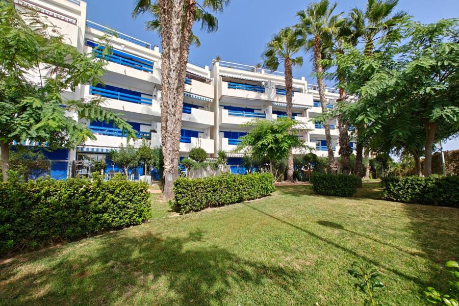 Vente - Appartement - Playa Flamenca - Orihuela Costa