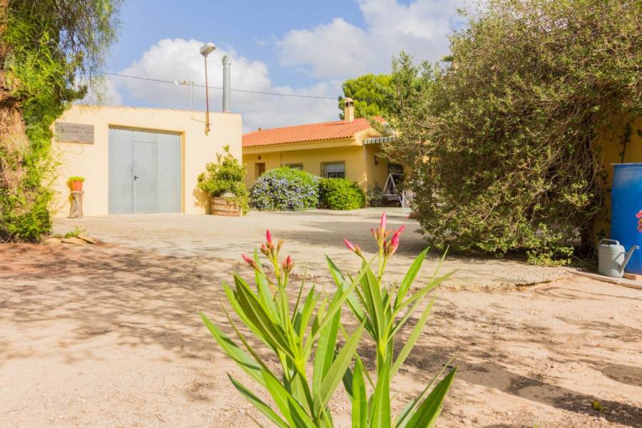 Vente - Maison - La Matanza - Orihuela