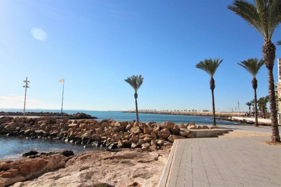 Venta - Estudio - Paseo maritimo - Torrevieja