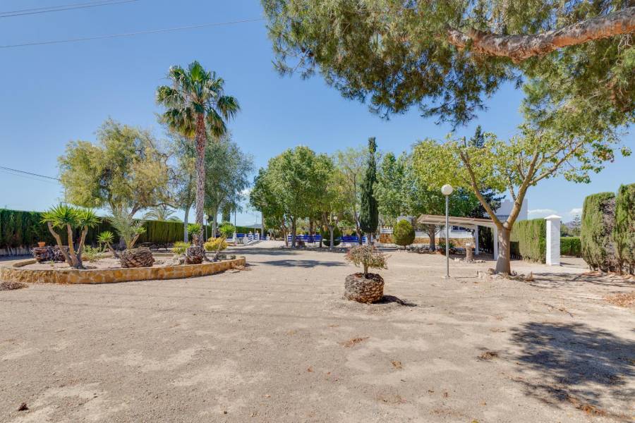 Vente - Maison individuelle - Correntías Bajas - Orihuela