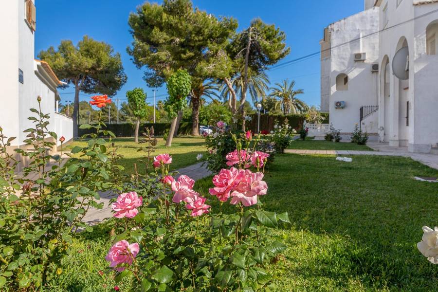 Vente - Maison de campagne - Calas blanca - Torrevieja