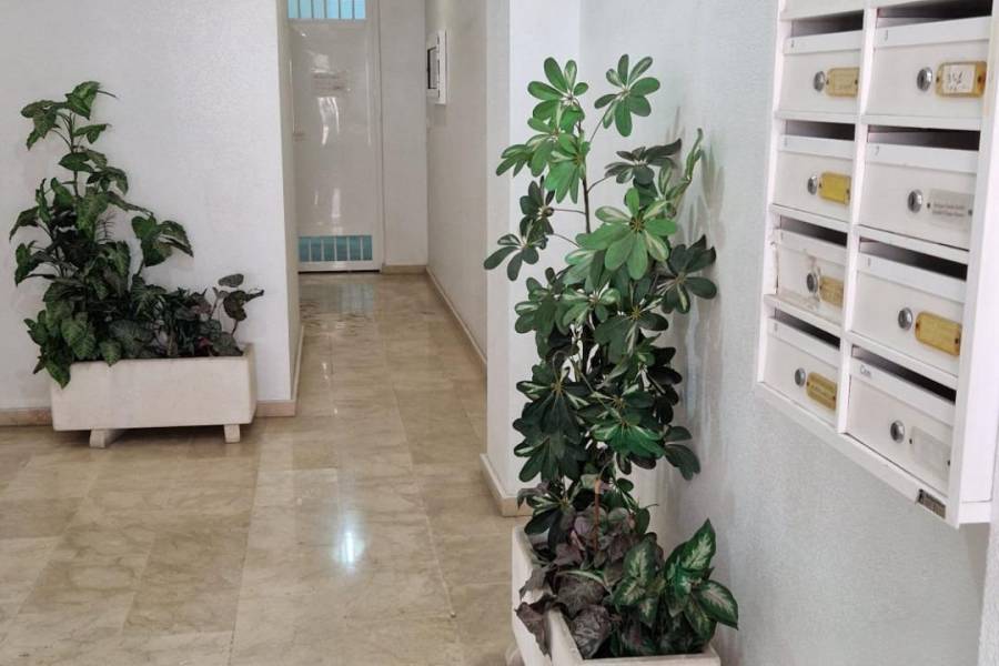 Venta - Apartamento - Playa del cura - Torrevieja