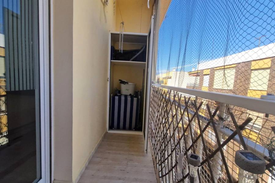 Sale - Studio - Paseo maritimo - Torrevieja