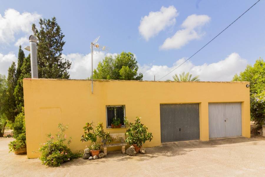 Vente - Maison - La Matanza - Orihuela