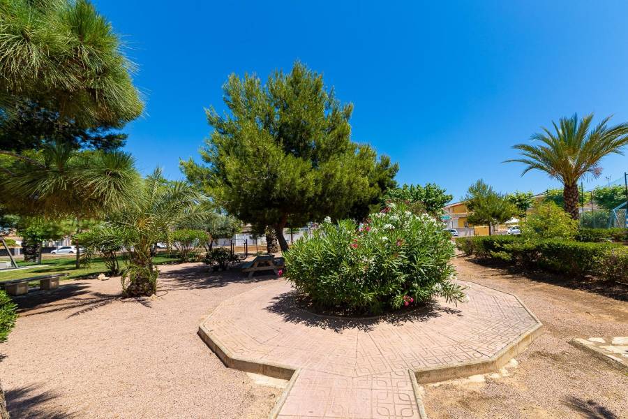 Vente - Maison individuelle - La siesta - Torrevieja