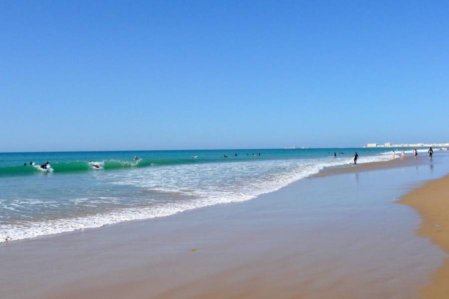 Sale - Bungalow Ground Floor - Carrefour - Torrevieja