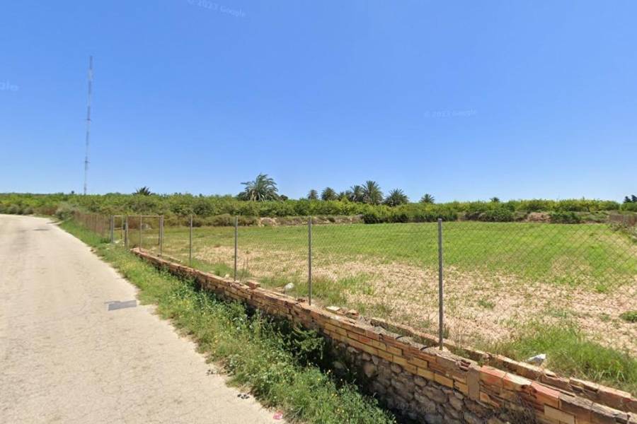 Venta - Terreno rural - CAMPO - Guardamar del Segura